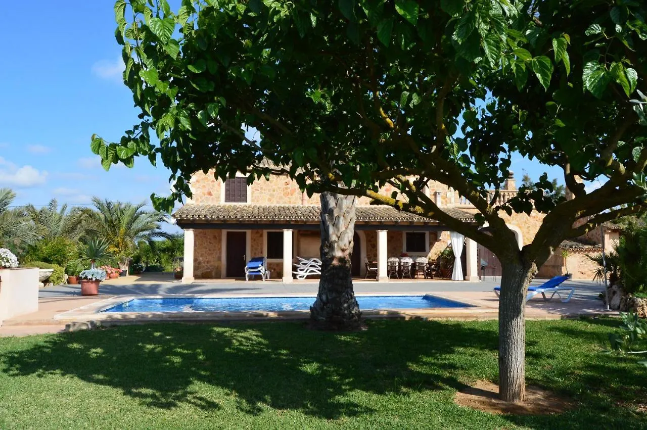 Finca Es Revolt De Sa Barrala Campos  Spain